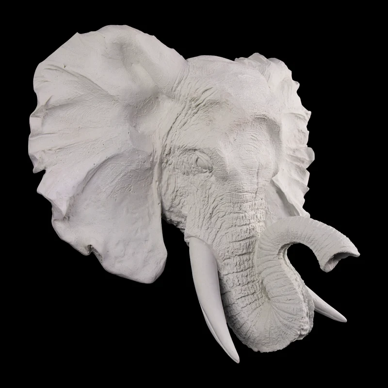 Cabeza de Elefante Plana