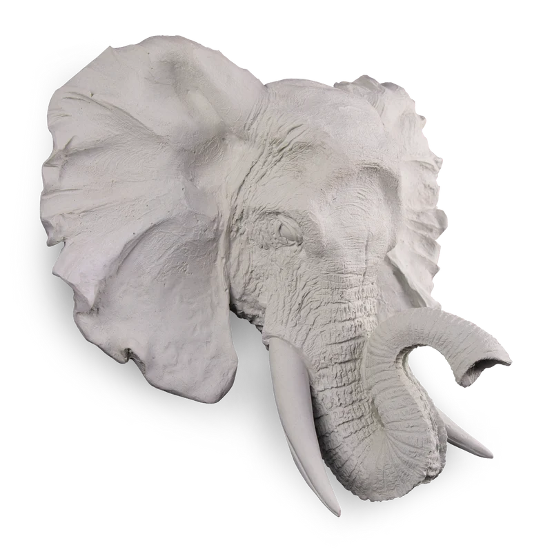 Cabeza de Elefante Plana