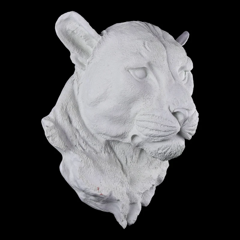 Cabeza de Leopardo Plana