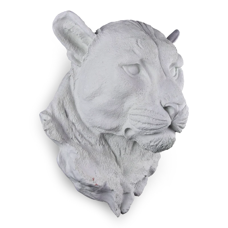 Cabeza de Leopardo Plana