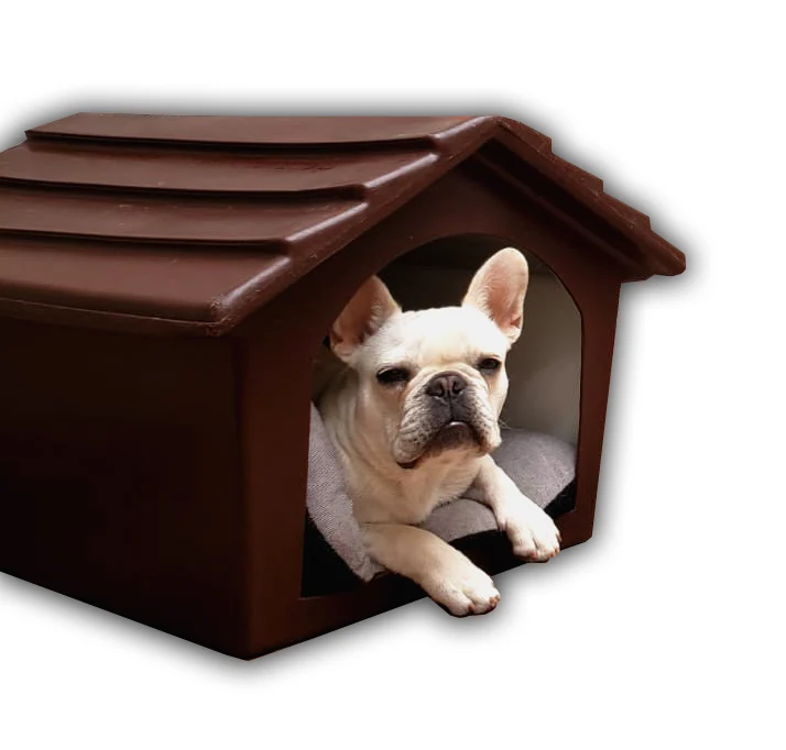 Casa de Perro