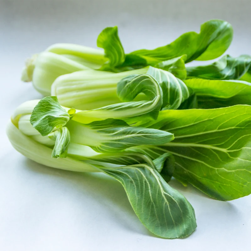 Plantón Pak Choi - PlantaBo