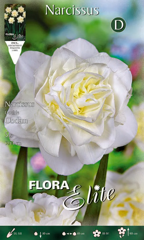 Bulbos Narciso doble blanco 5 uds