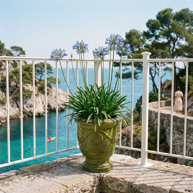 Pot RICHELIEU 46x56cm vert tropical