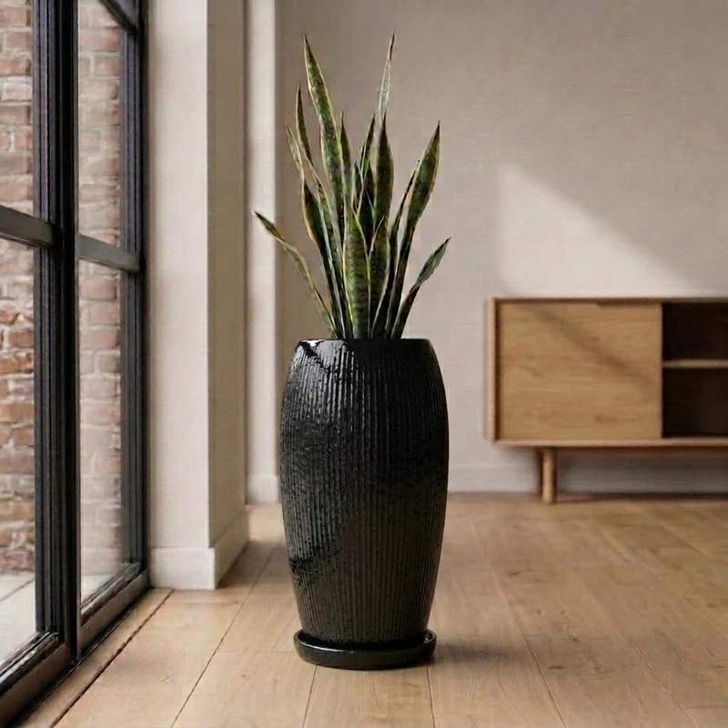 Soucoupe ronde 24cm noir