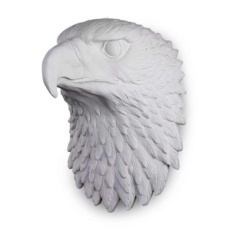 Cabeza de Águila Plana