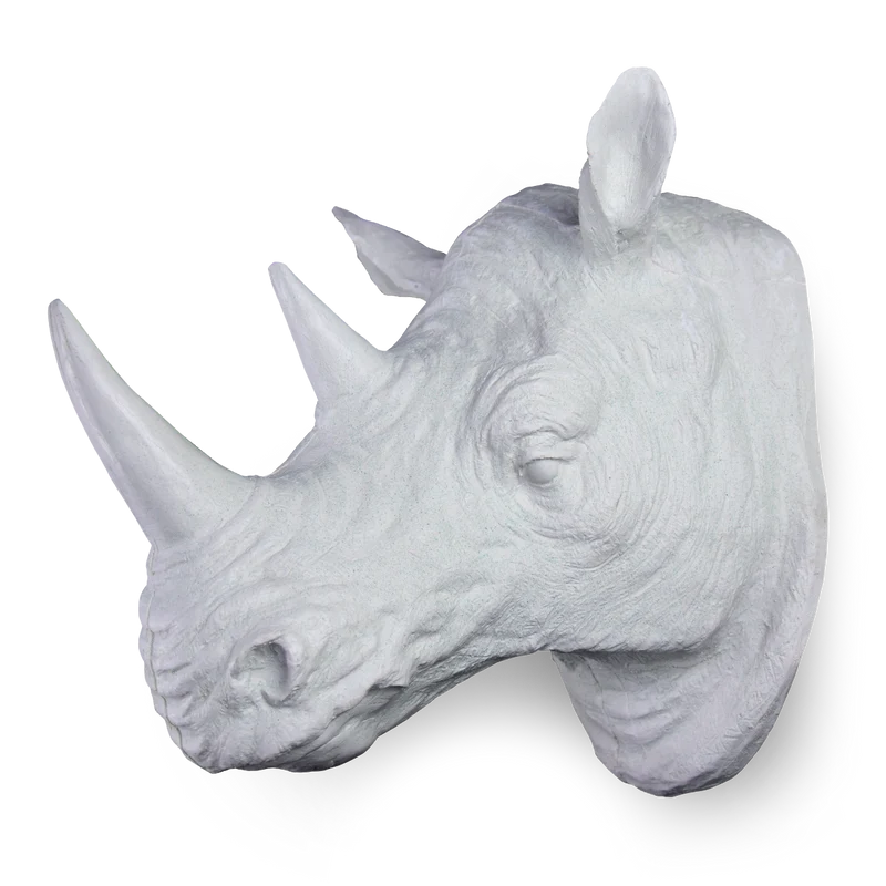 Cabeza de Rinoceronte Plana