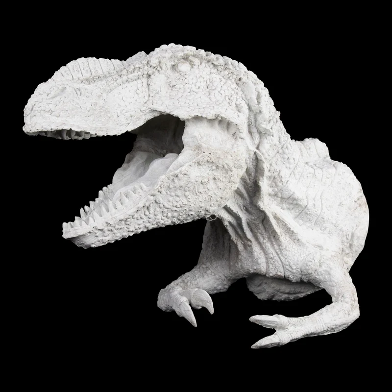 Cabeza de Dinosaurio Plana