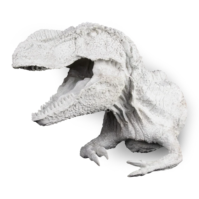 Cabeza de Dinosaurio Plana