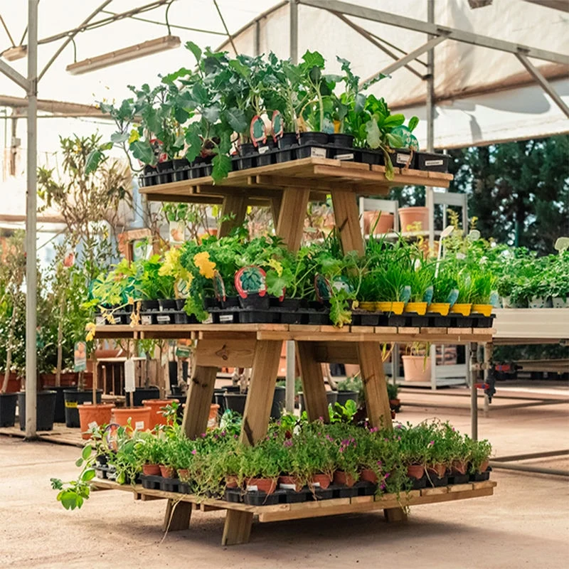 Estantería de madera Grow