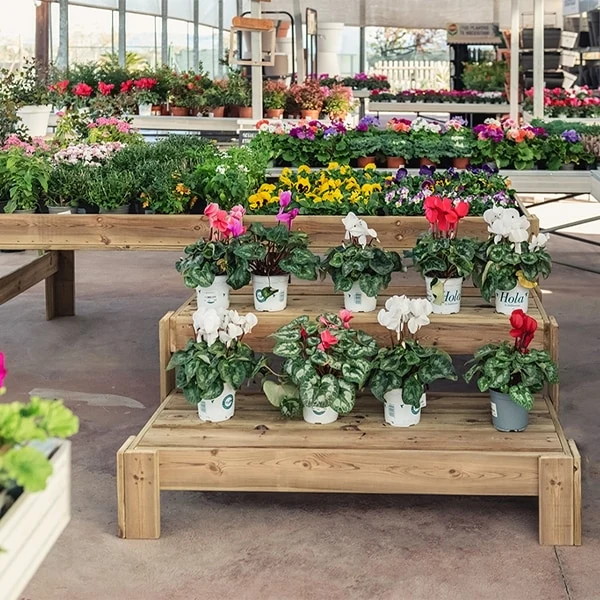Expositor de madera Set Blossom + Podium