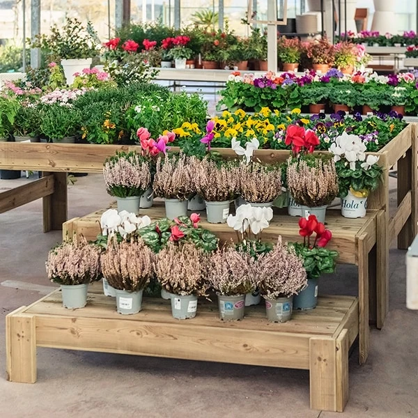 Expositor de madera Set Blossom + Podium