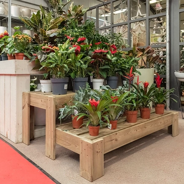 Expositor de madera Podium