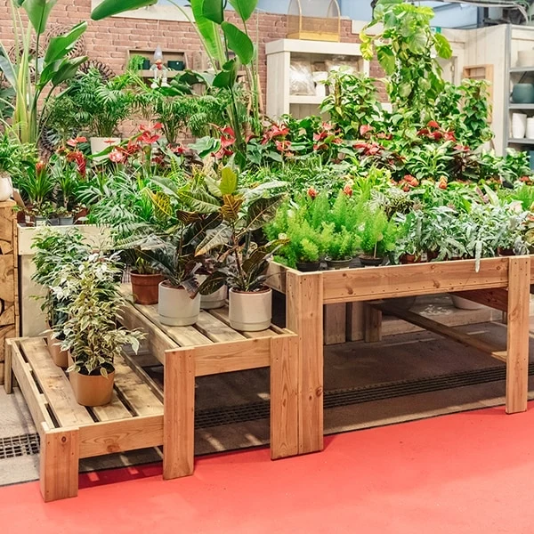 Expositor de madera Podium