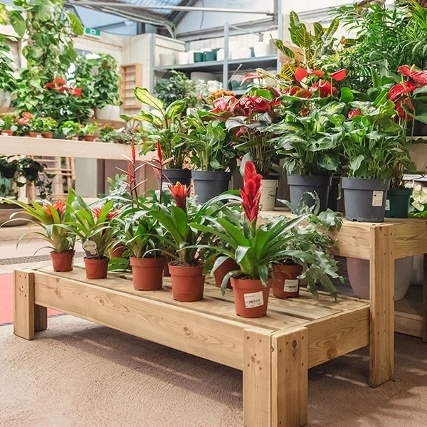 Expositor de madera Podium