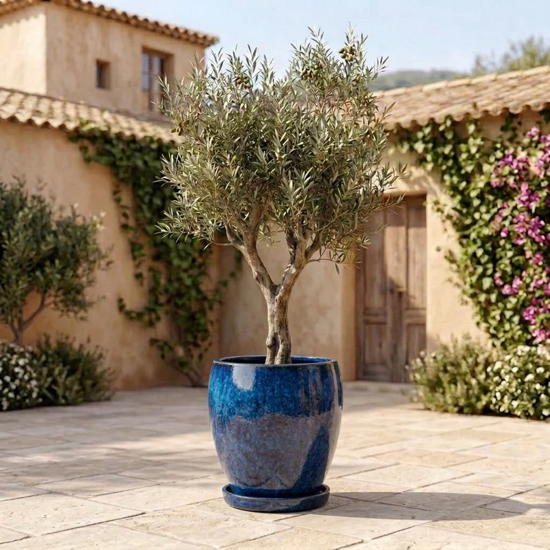 Soucoupe 44cm bleu azur