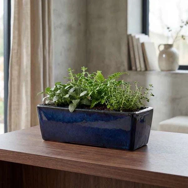 Jardinière GIONO 46x17x15cm saphir