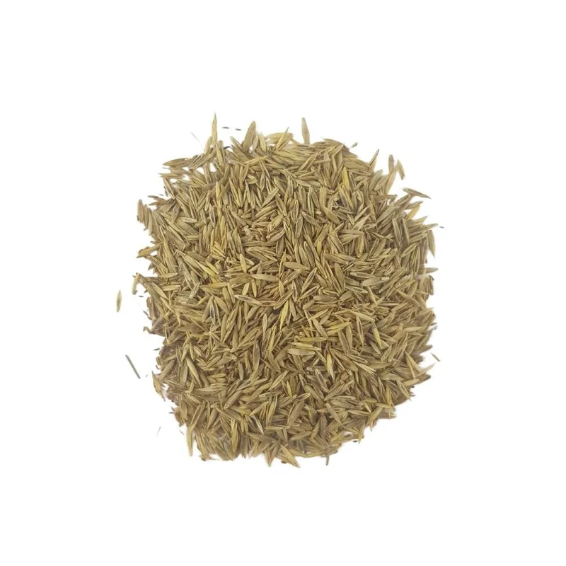 Semillas Césped Deportivo - 1 kg