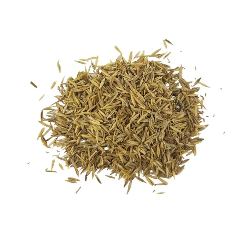 Semillas de Césped de SOMBRA Dalmau - 1 kg