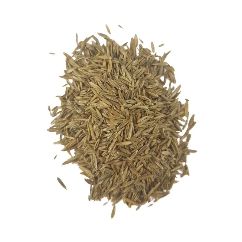 Semillas Césped Mezcla Comercial RUSTIC - 1 kg