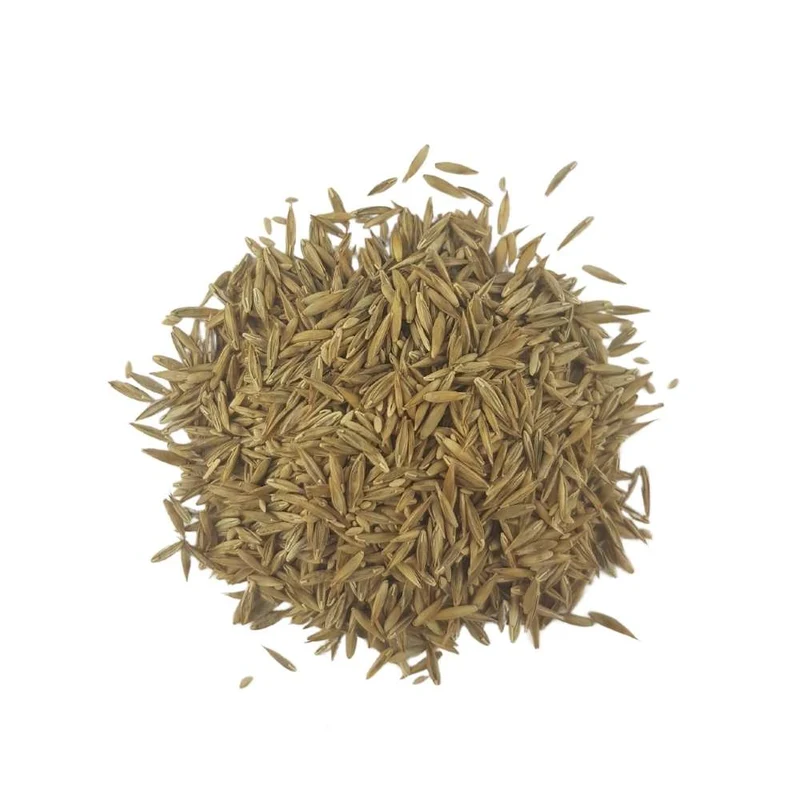 Semillas Césped Mezcla Comercial FORT - 1 kg