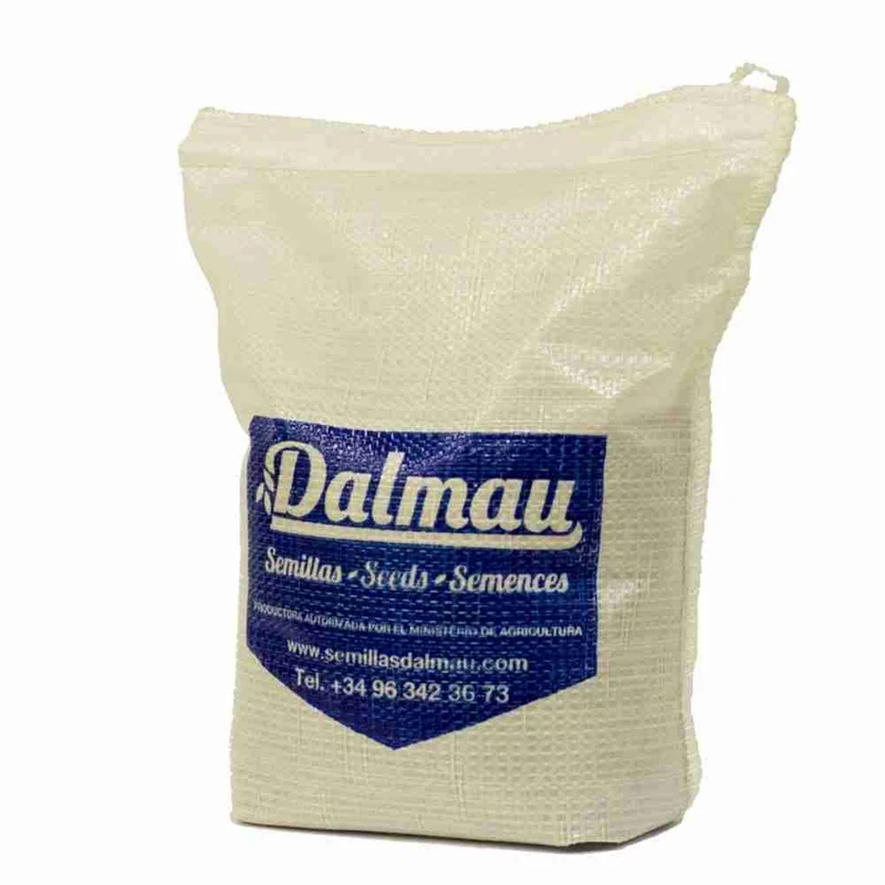 Semillas de Césped Cynodon Dactylon Común - 1 kg