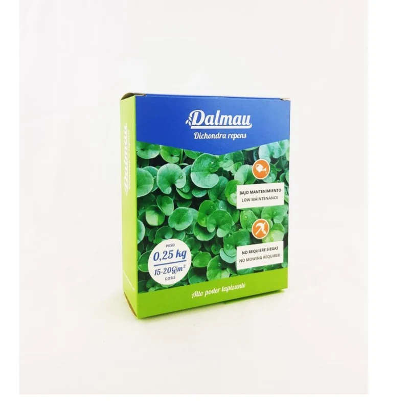 Semillas de Césped Dichondra - 1 kg