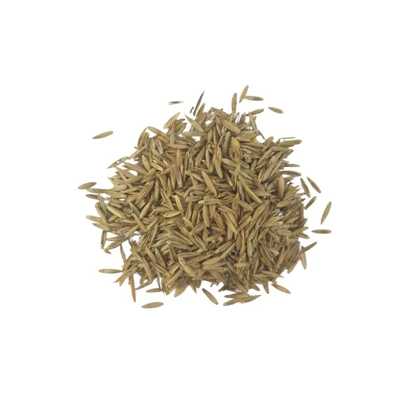 Semilla Mezcla SOL - Césped Grama Fina 5 kg