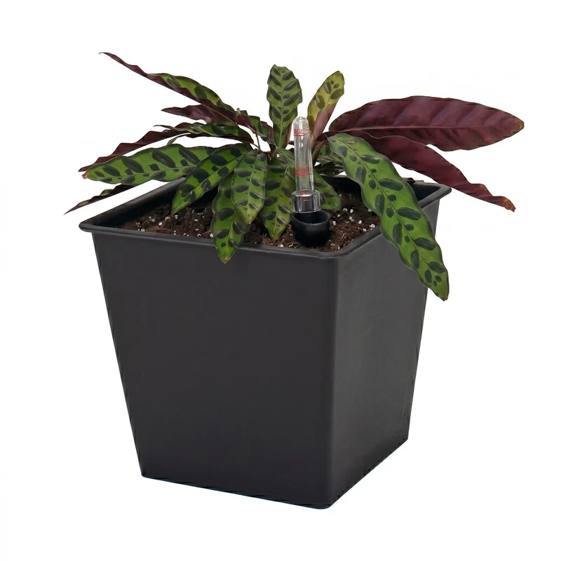 Maceta de autorriego Nidum 16 L 26×26×24 cm