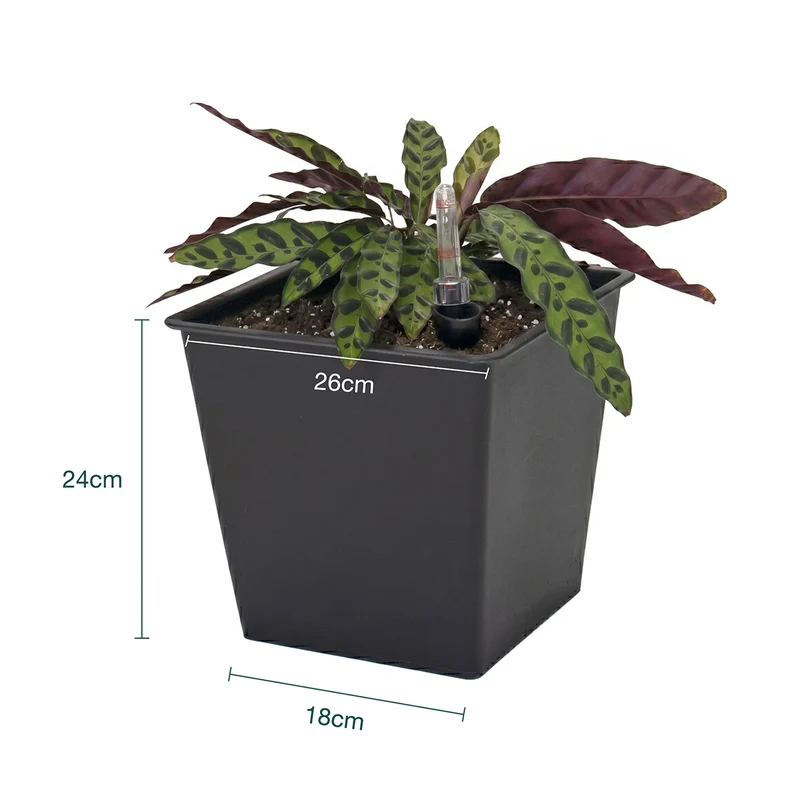 Maceta de autorriego Nidum 16 L 26×26×24 cm