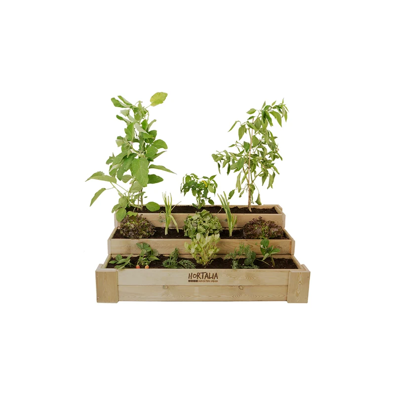 Cajón de cultivo Box Stairs 120