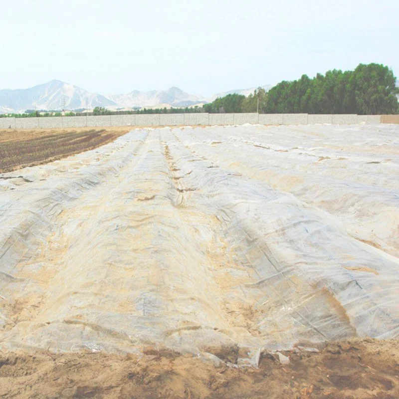 Plástico Agrícola Natural - 750m²