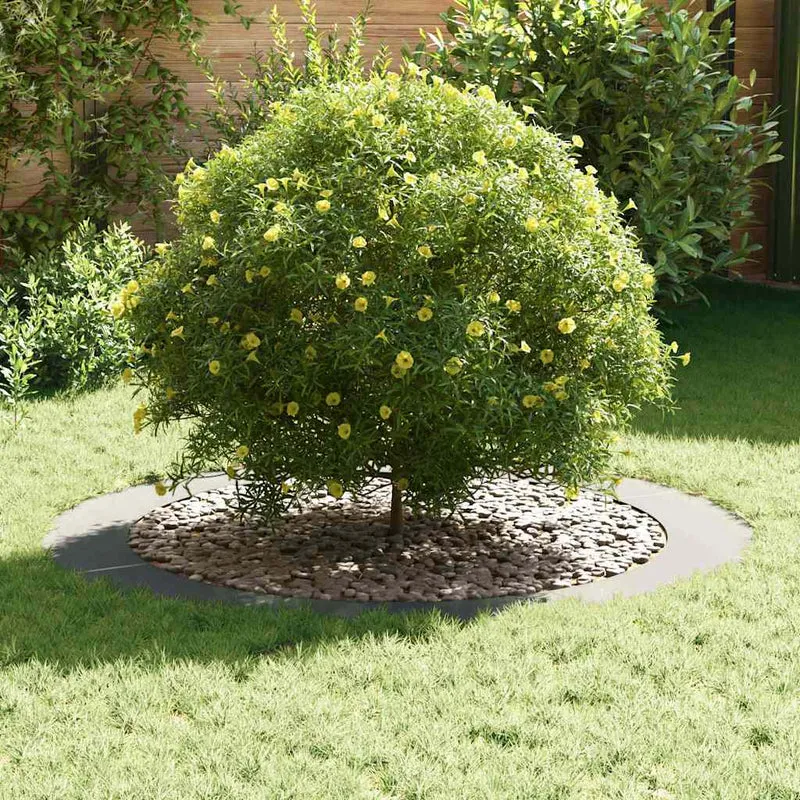 Adecuado Para Anillos De Árbol Plano 5 Uds. Plateado Ø90/120 Cm