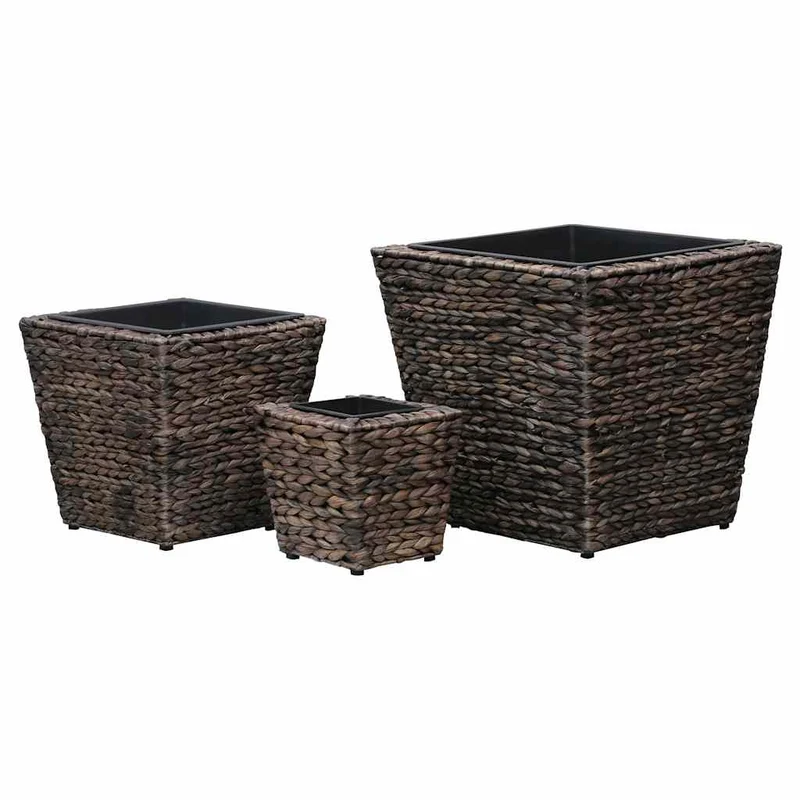 Conjunto De Arriates 3 Piezas Jacinto De Agua Marrón