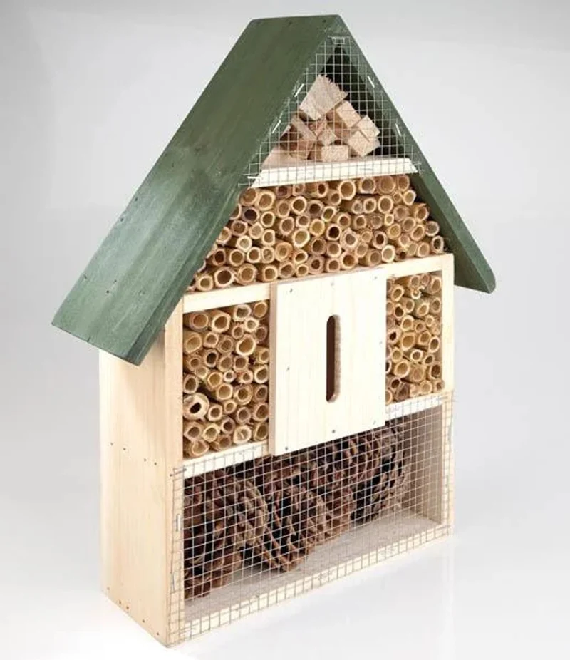 Hotel Insectos Xxl