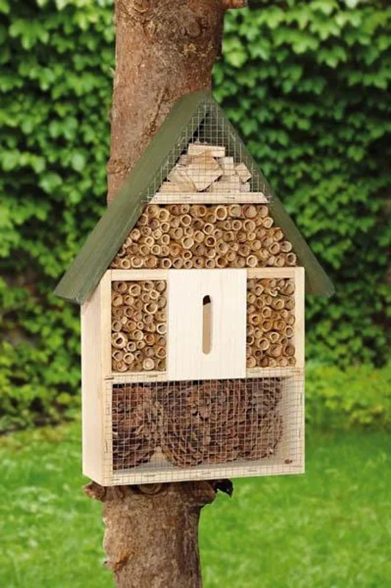 Hotel Insectos Xxl