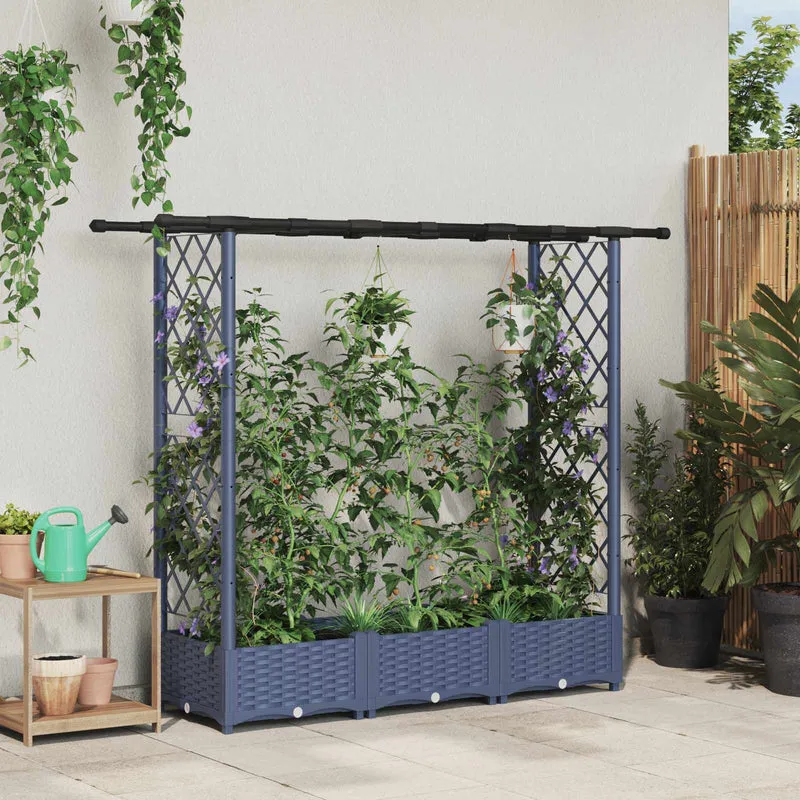 Cama Elevada Con Trellis Y Techo Gris 164 X 40 X 121 Cm Pp
