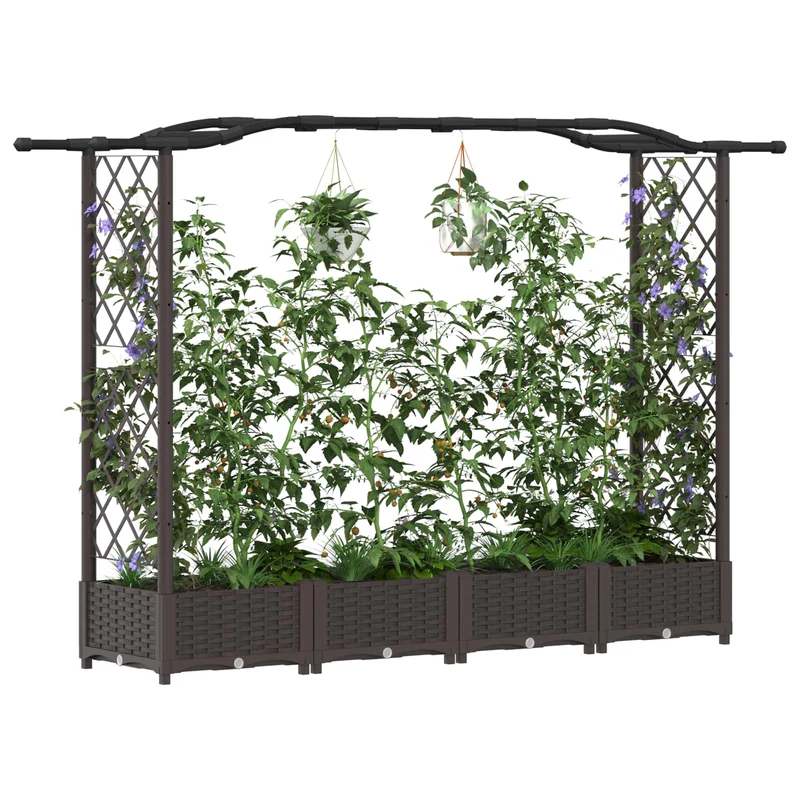 Cama Elevada Con Trellis Y Techo Marrón 207 X 40 X 123 Cm Pp