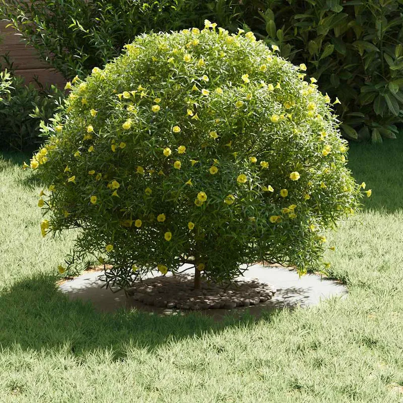 Adecuado Para Anillos De Árbol Plano 5 Uds. Ø30/60 Cm Acero