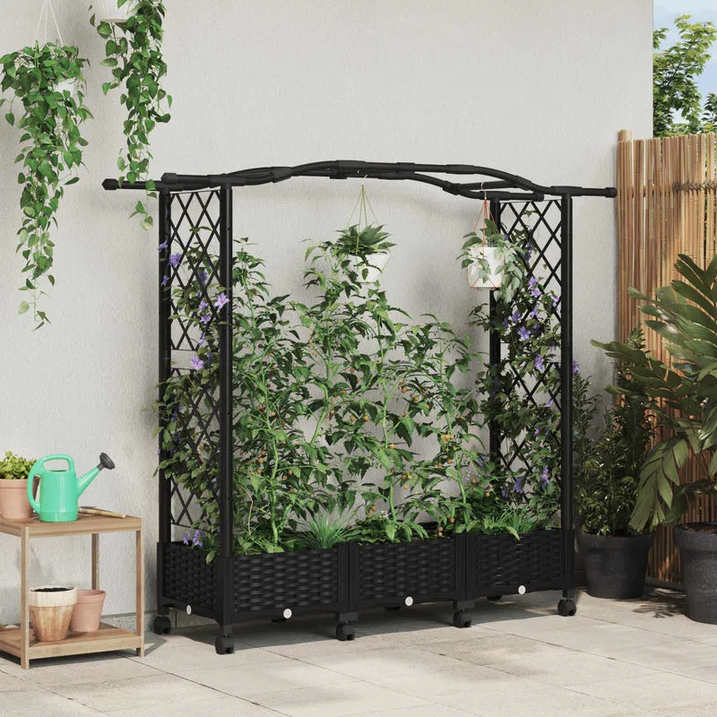 Cama Elevada Con Trellis Y Techo Negro 169 X 40 X 129 Cm Pp