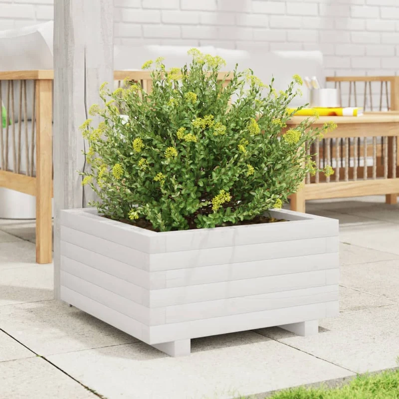 Jardinera De Madera Maciza De Pino Blanco 50x50x26,5 Cm