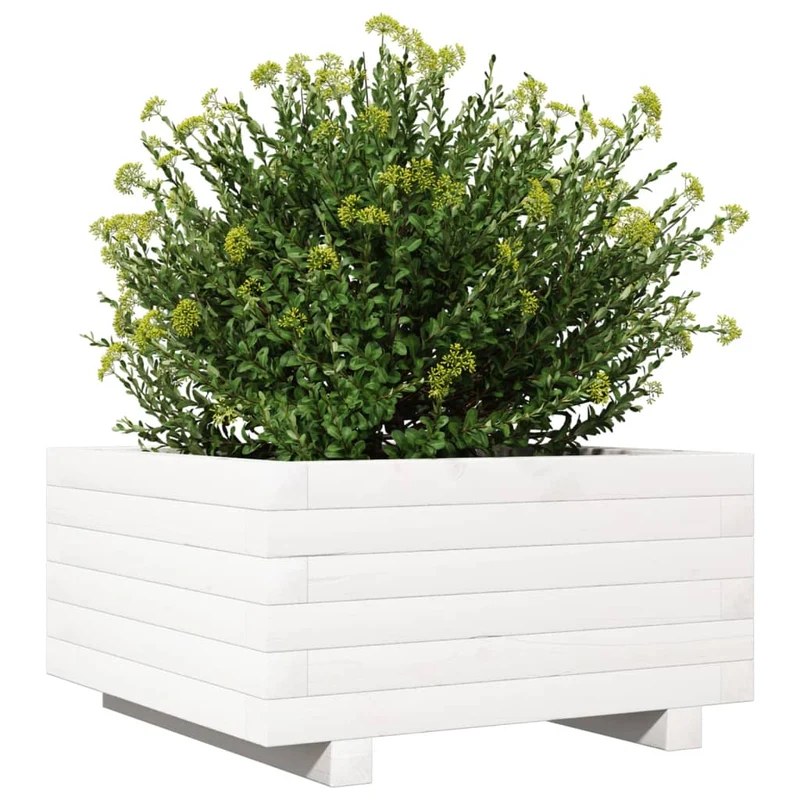 Jardinera De Madera Maciza De Pino Blanco 50x50x26,5 Cm