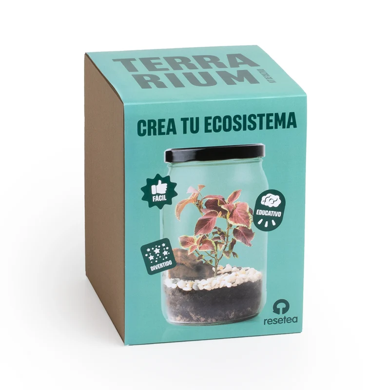 Kit Terrarium DIY – Mini Jardín Ecosistema Natural para Casa, Regalo Decorativo Original - Resetea