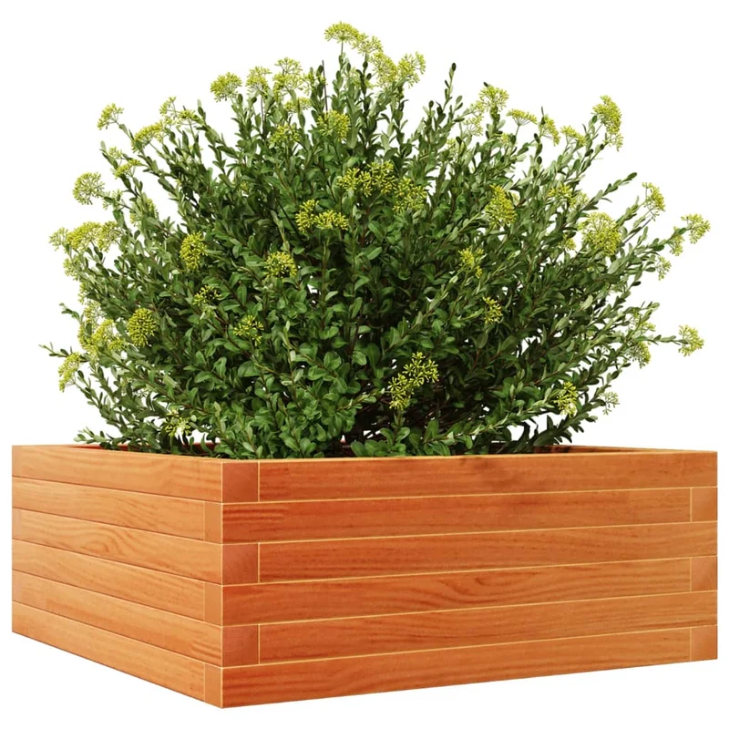 Jardinera De Madera Maciza Pino Marrón Cera 60x60x23 Cm