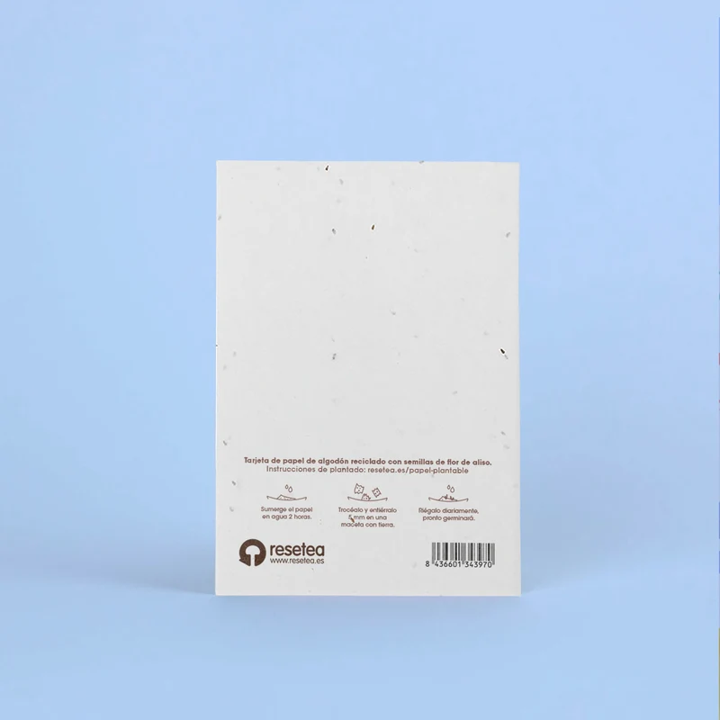 Postal Plantable Te Quiero con Semillas de Flor de Aliso – Regalo Romántico Original - Resetea