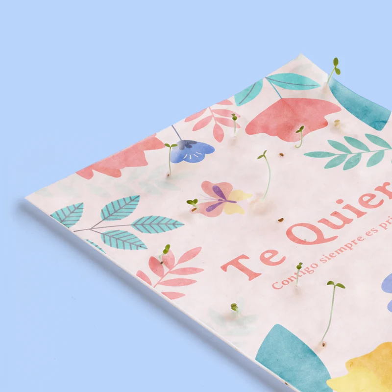 Postal Plantable Te Quiero con Semillas de Flor de Aliso – Regalo Romántico Original - Resetea