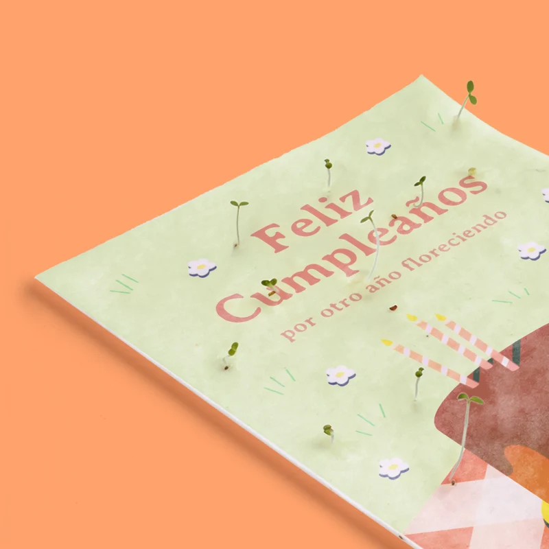 Postal Plantable Feliz Cumpleaños con Semillas de Manzanilla – Felicitación Original - Resetea