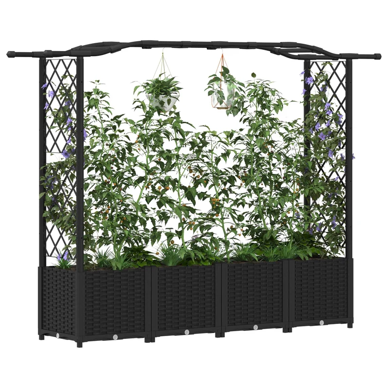 Cama Elevada Con Trellis Y Techo Negro 204 X 40 X 138 Cm Pp