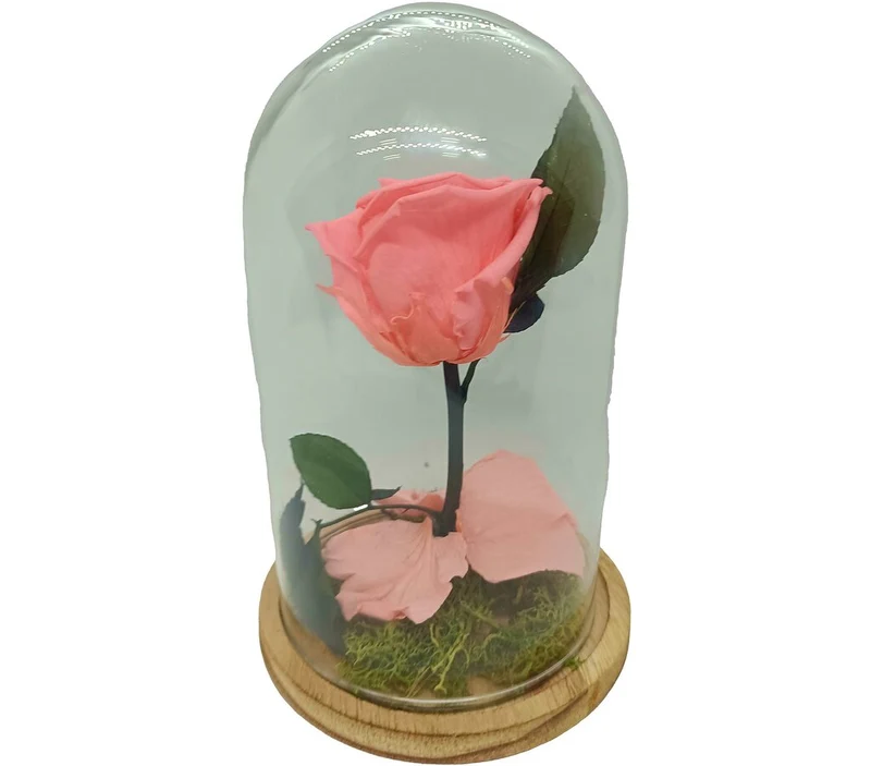 Mundo Eterno Rosa En Cúpula Rosa 12x20cm
