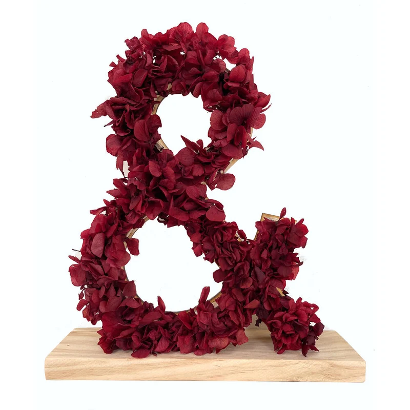 Mundo Eterno Letra Hortensia Roja Preservada 27x26cm